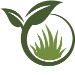 Pool Fill In Removals