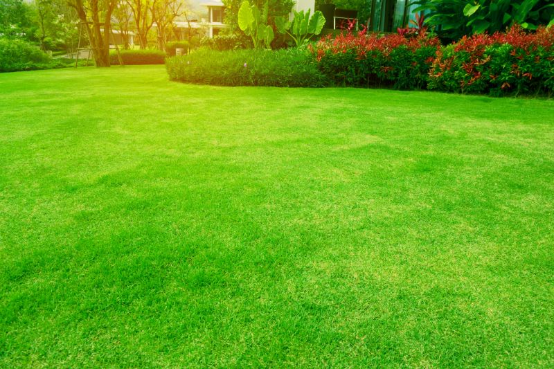 Lawn Landscaping